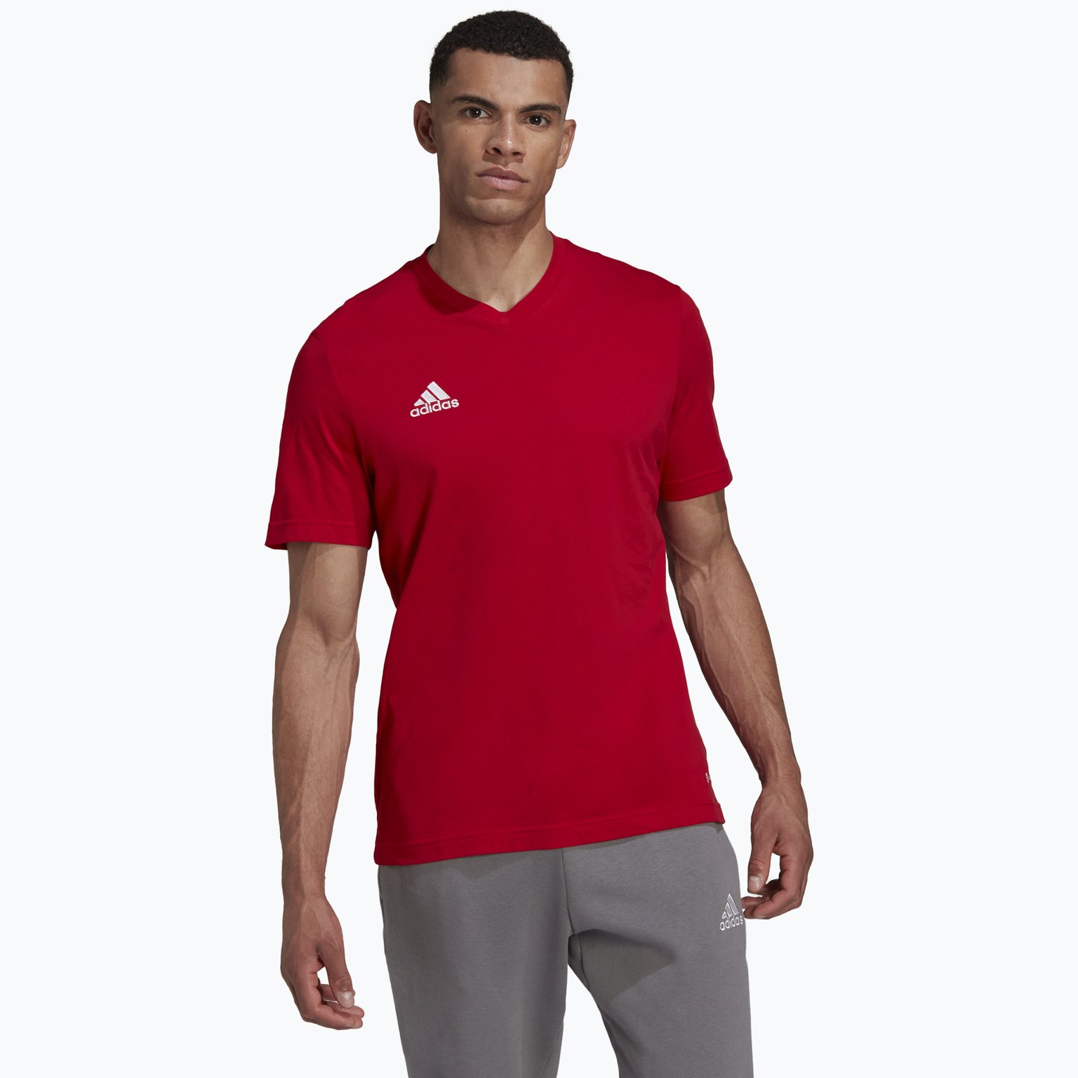 adidas Entrada 22 M träningst-shirt Röd