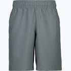 färgalternativ för Grå Under armour UA Woven Graphic M träningsshorts