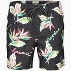 förhandsvisning ikon 1 för Rip curl Hawaii Tropic Volley badshorts Svart