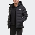 färgalternativ för Svart adidas SDP 2.0 Insulated W vinterjacka