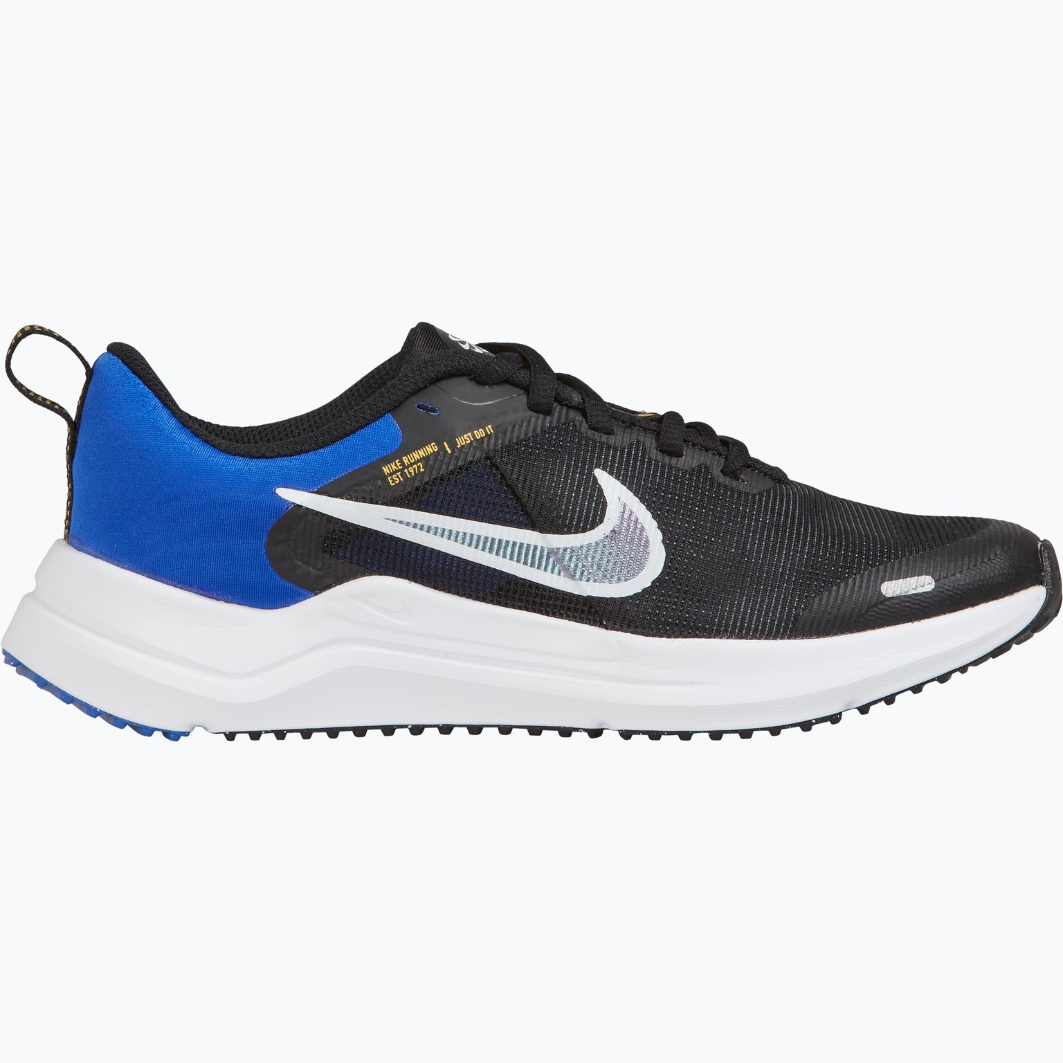 Nike Downshifter 12 jr löparskor Flerfärgad