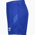 förhandsvisning ikon 3 för Umbro Liga W shorts Blå