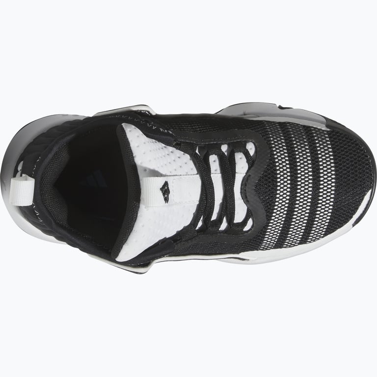 adidas Trae Unlimited C JR basketskor Svart