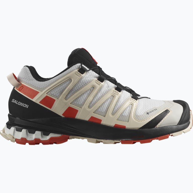 Salomon XA Pro 3D v8 Gore-Tex W walkingskor Flerfärgad