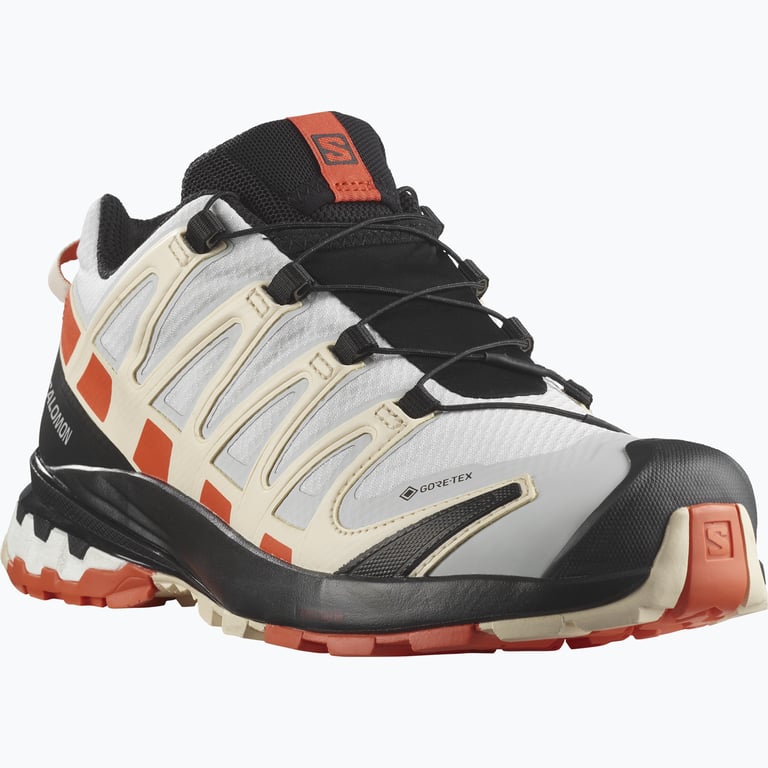 Salomon XA Pro 3D v8 Gore-Tex W walkingskor Flerfärgad