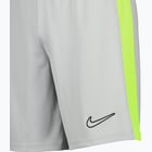 förhandsvisning ikon 3 för Nike Dri-FIT Academy M träningsshorts Grå