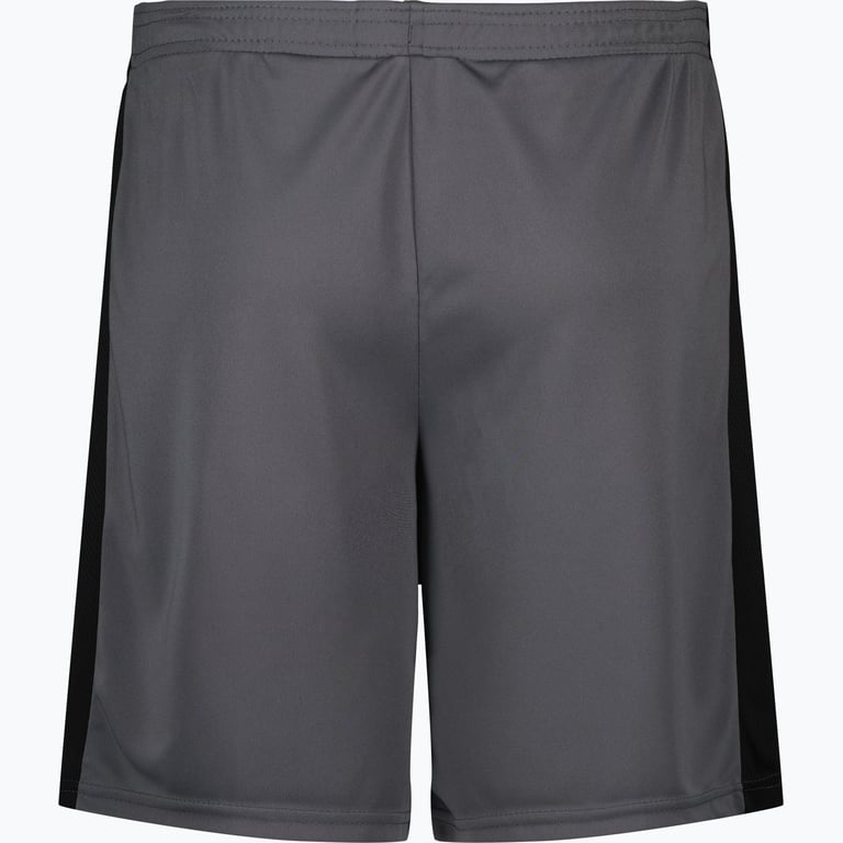 Nike Dri-FIT Academy M träningsshorts Grå