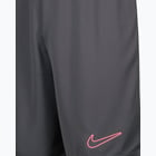 förhandsvisning ikon 3 för Nike Dri-FIT Academy M träningsshorts Grå