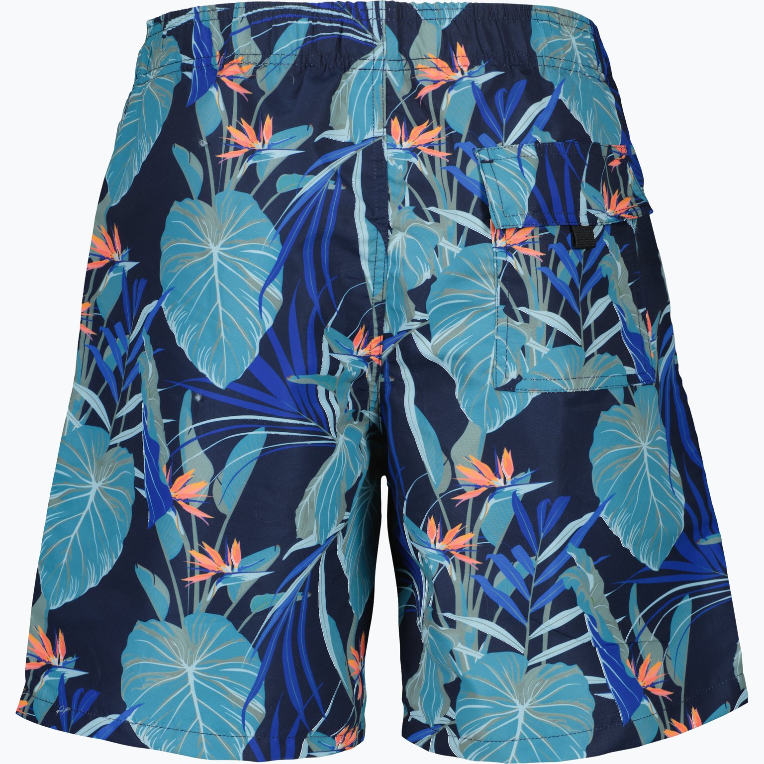 Firefly Bali M badshorts Blå