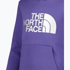 förhandsvisning ikon 3 för The North Face Drew Peak JR huvtröja Blå