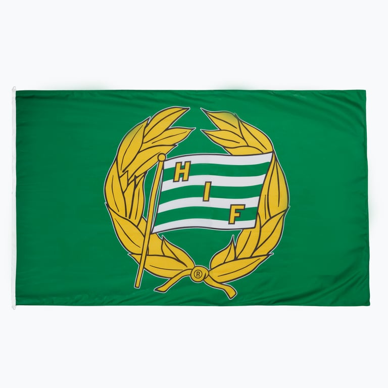 Hammarby Flaggstångsflagga 240x150cm Grön