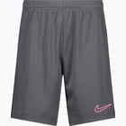 färgalternativ för Grå Nike Dri-FIT Academy23 JR träningsshorts