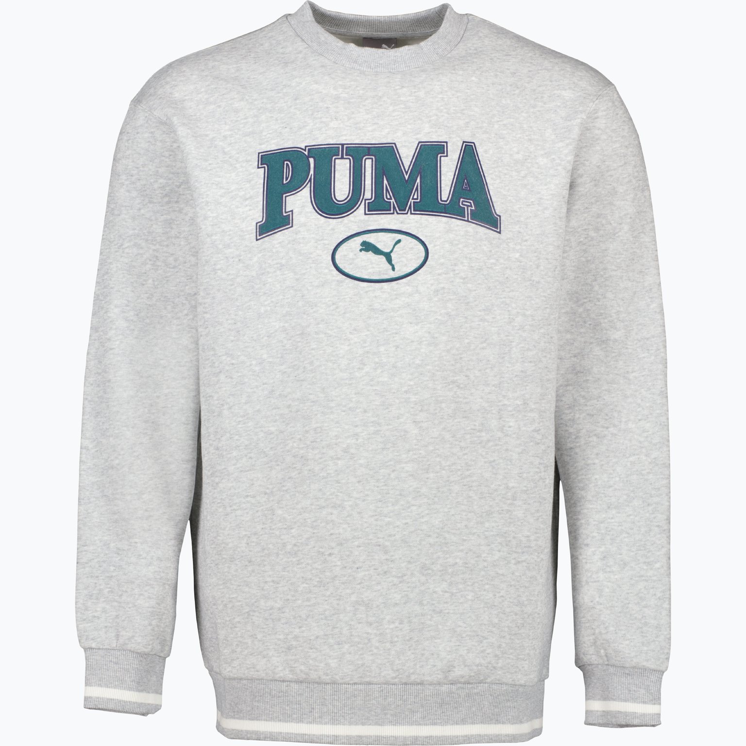 Puma Squad M tröja Grå