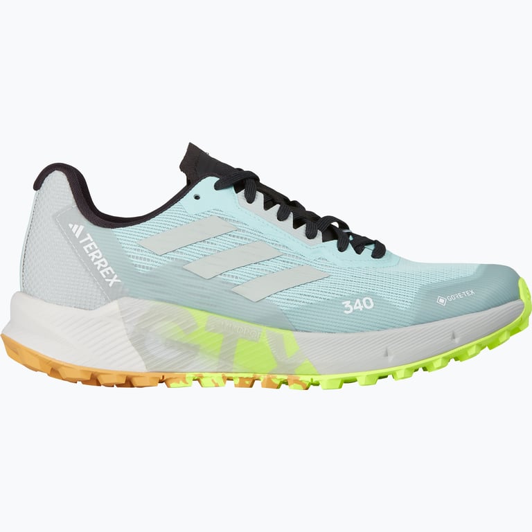 adidas Terrex Agravic Flow 2 Gore-Tex M löparskor  Blå