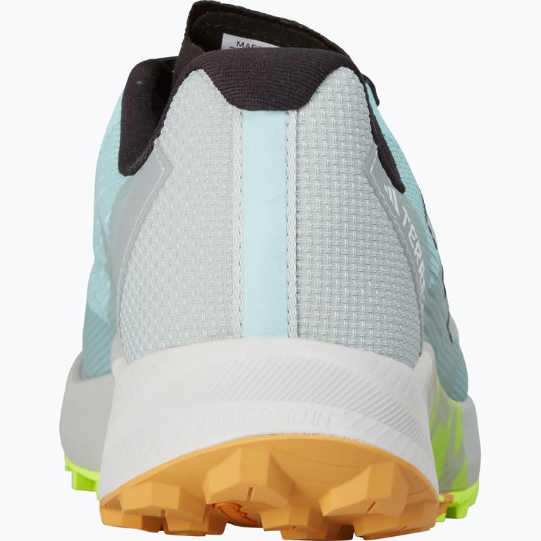 adidas Terrex Agravic Flow 2 Gore-Tex M löparskor  Blå