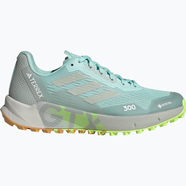 adidas Terrex Agravic Flow 2 Gore-Tex W löparskor Blå