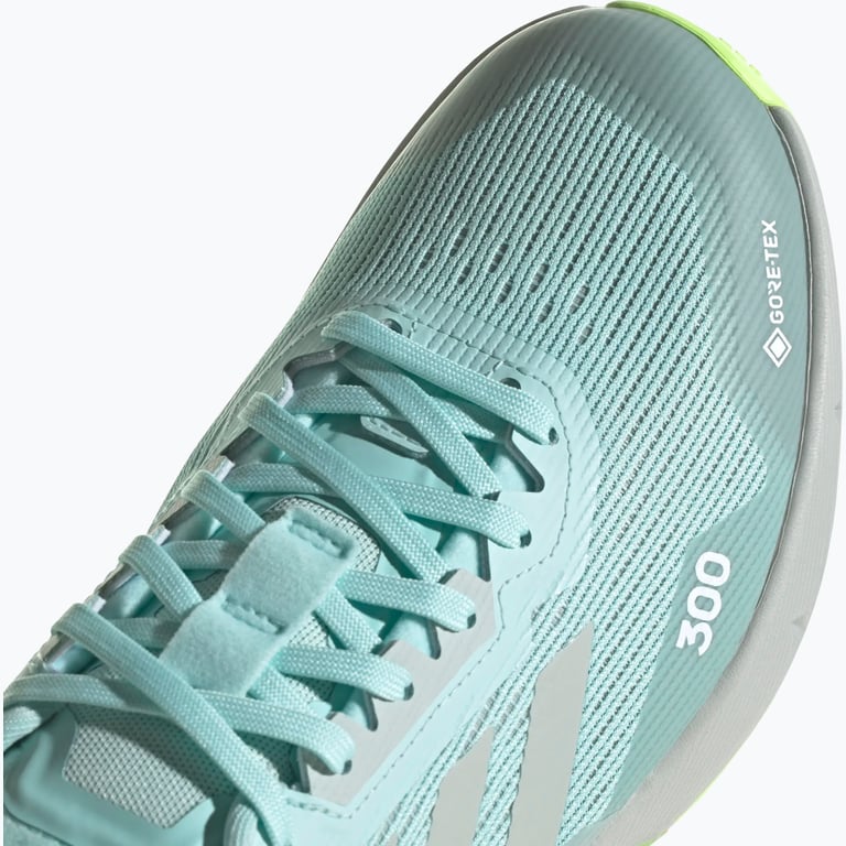 adidas Terrex Agravic Flow 2 Gore-Tex W löparskor Blå