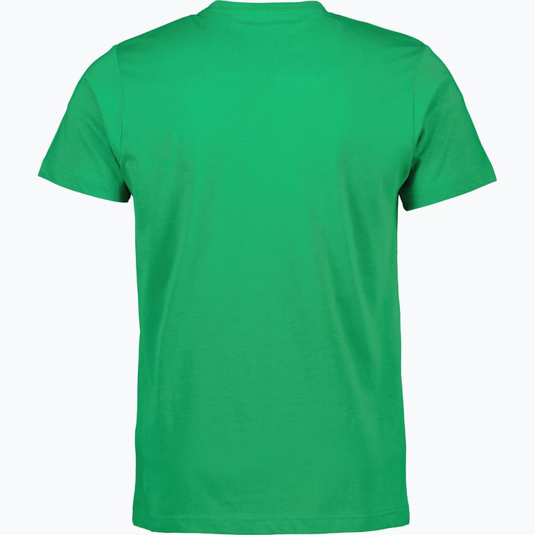 Hammarby Bajen 4 Ever M t-shirt Grön