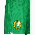 förhandsvisning ikon 3 för Hammarby Bajen Game 23 W shorts Grön