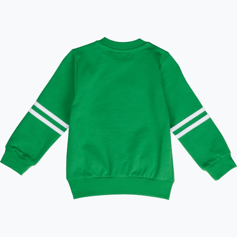 Hammarby Bajen4Ever MR Sweatshirt Grön