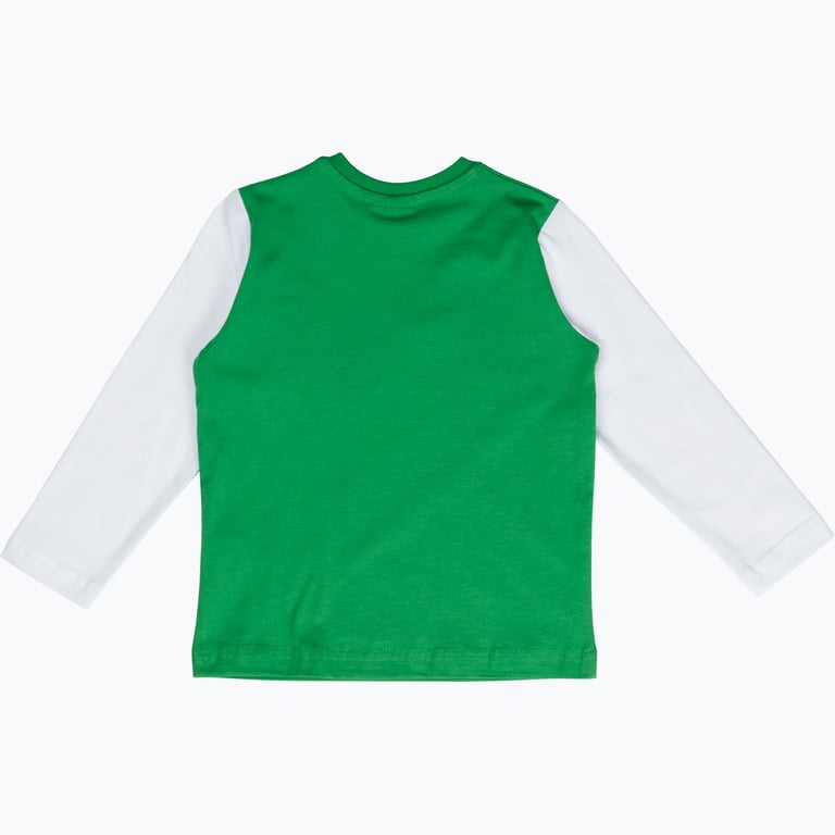 Hammarby Bajen4Ever L/S MR t-shirt Grön