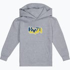 färgalternativ för Grå HV71 Logo MR huvtröja