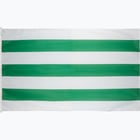 färgalternativ för Grön Hammarby Flaggstångsflagga 240x150cm