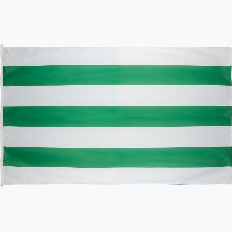 Hammarby Flaggstångsflagga 240x150cm Grön