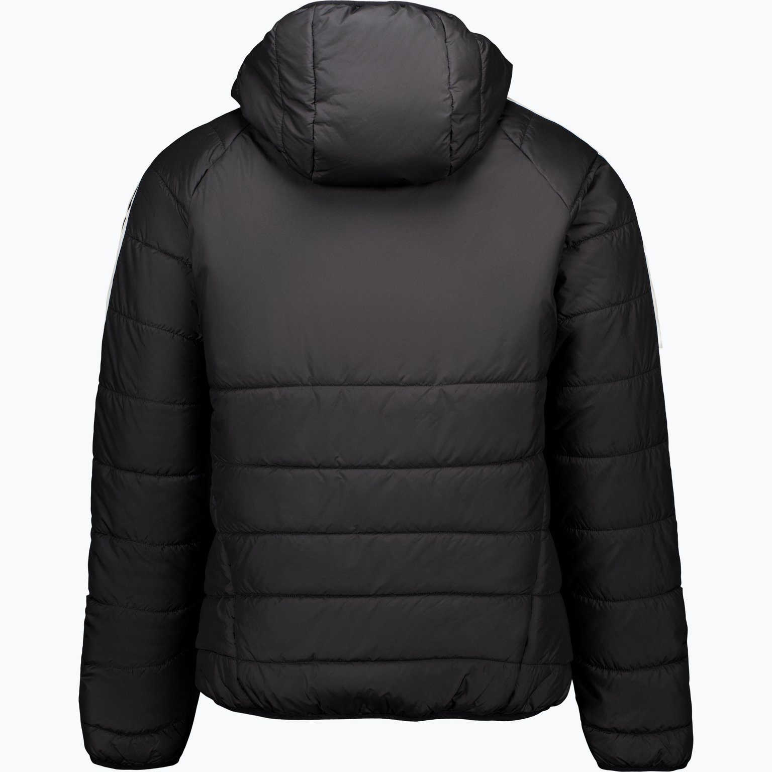 adidas Tiro 24 Winter jacka Svart