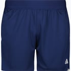 färgalternativ för Blå adidas Tiro23L W Shorts