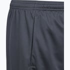 förhandsvisning ikon 5 för adidas Train Essentials Logo JR träningsshorts Blå