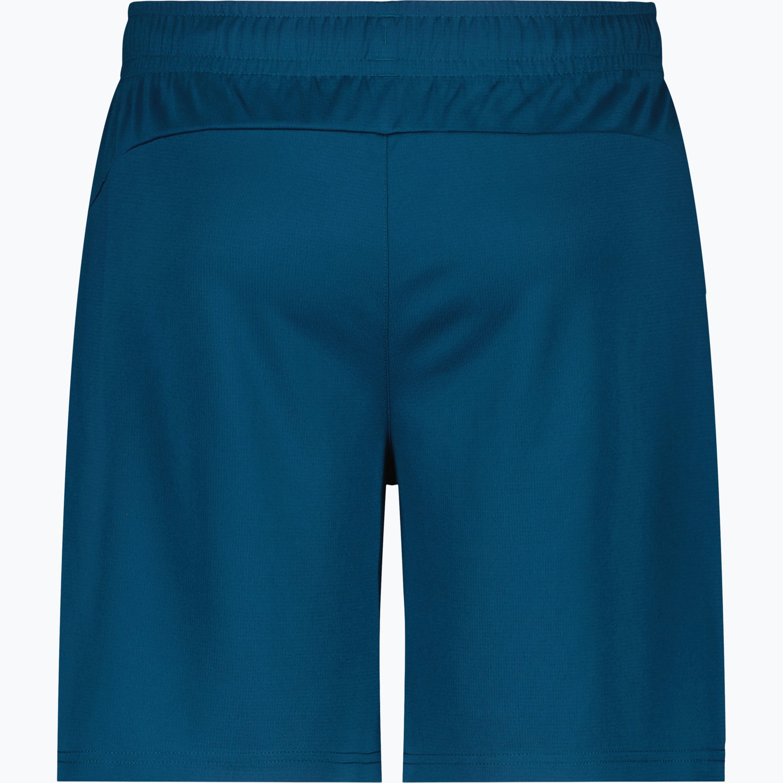 Puma individualFINAL JR träningsshorts Blå