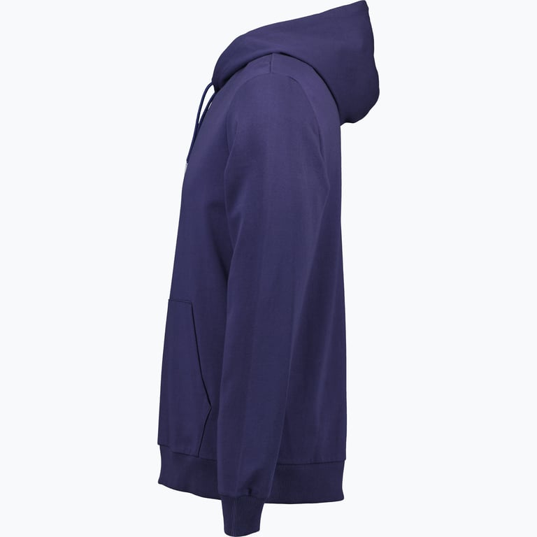 Puma teamGOAL Casuals Hoody  Blå