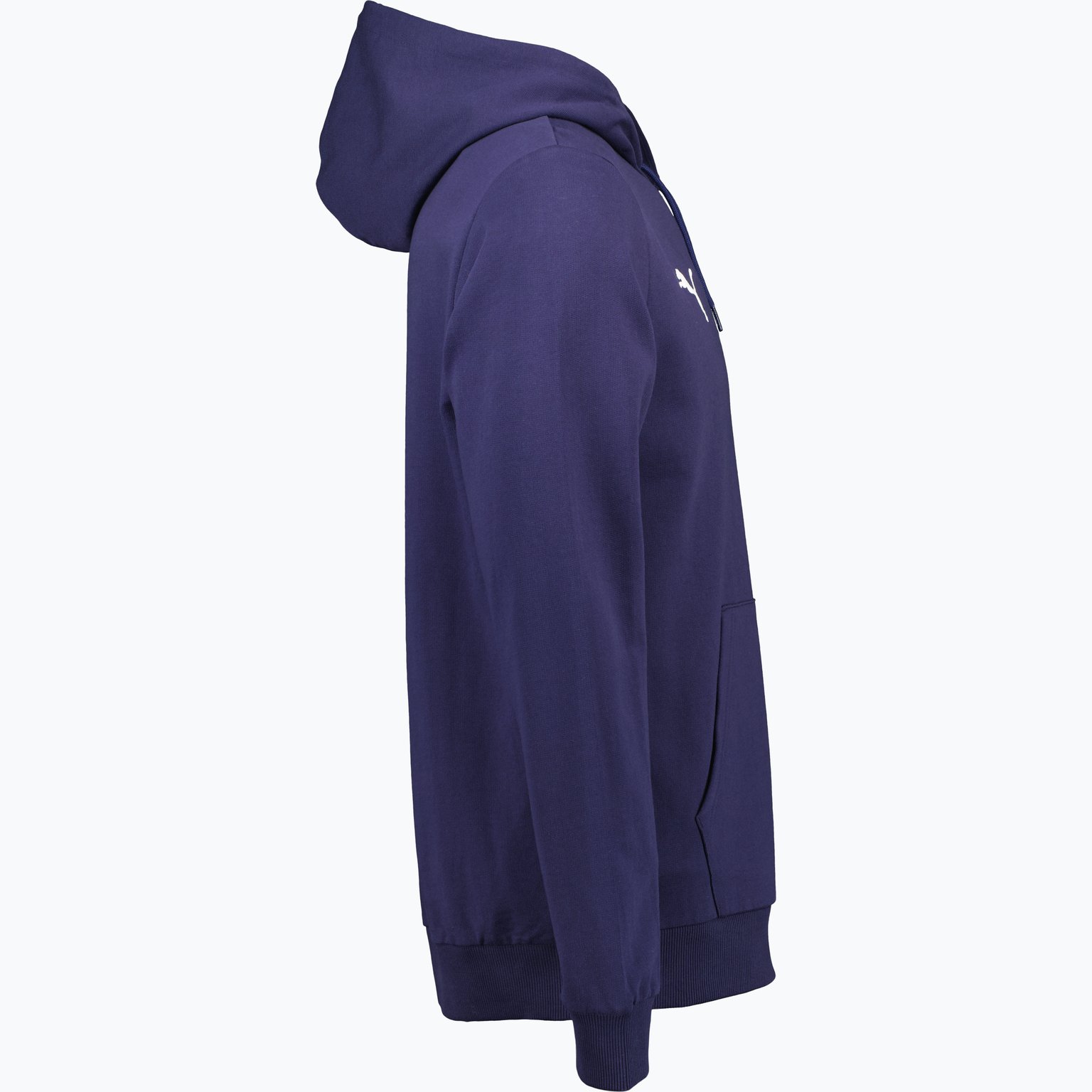 Puma teamGOAL Casuals Hoody  Blå