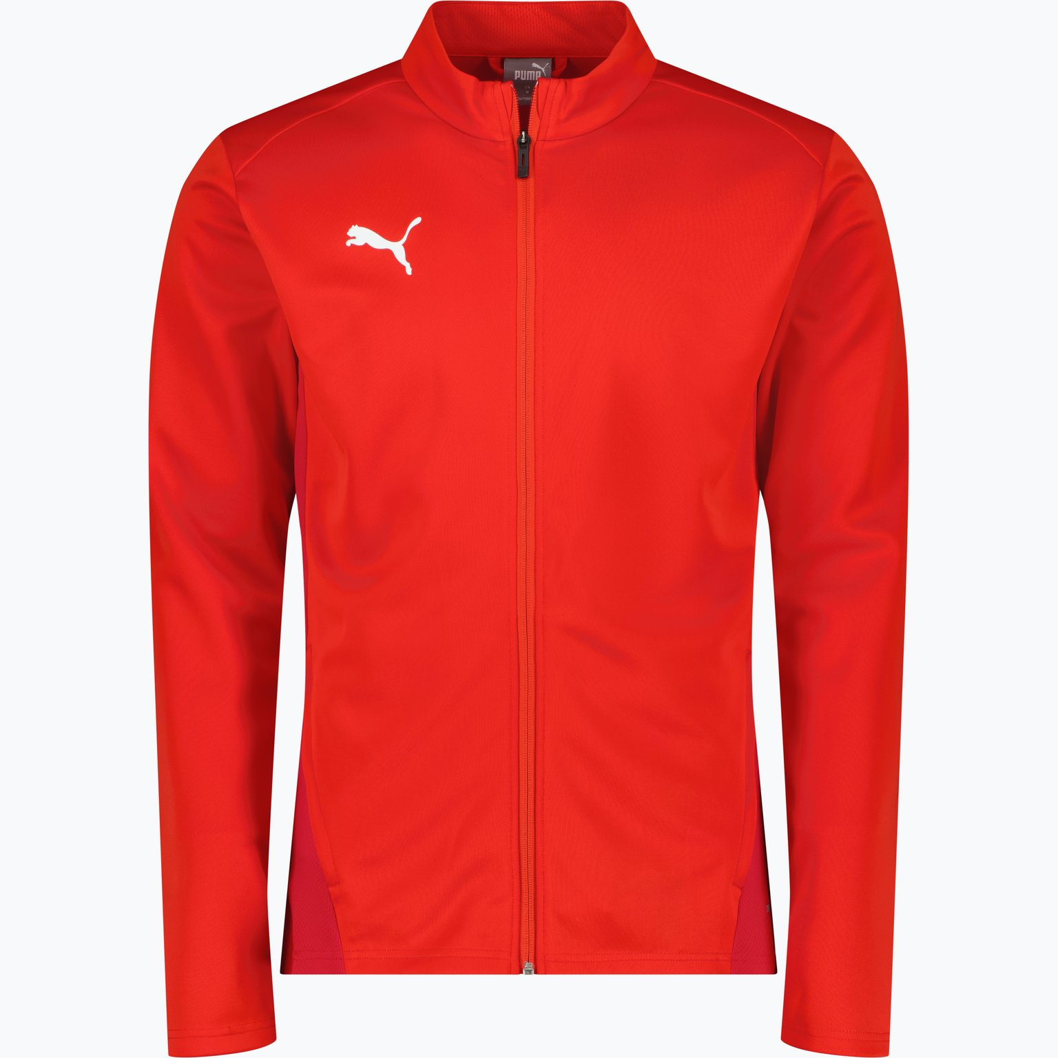 Puma teamGOAL Training Jacket  Svart