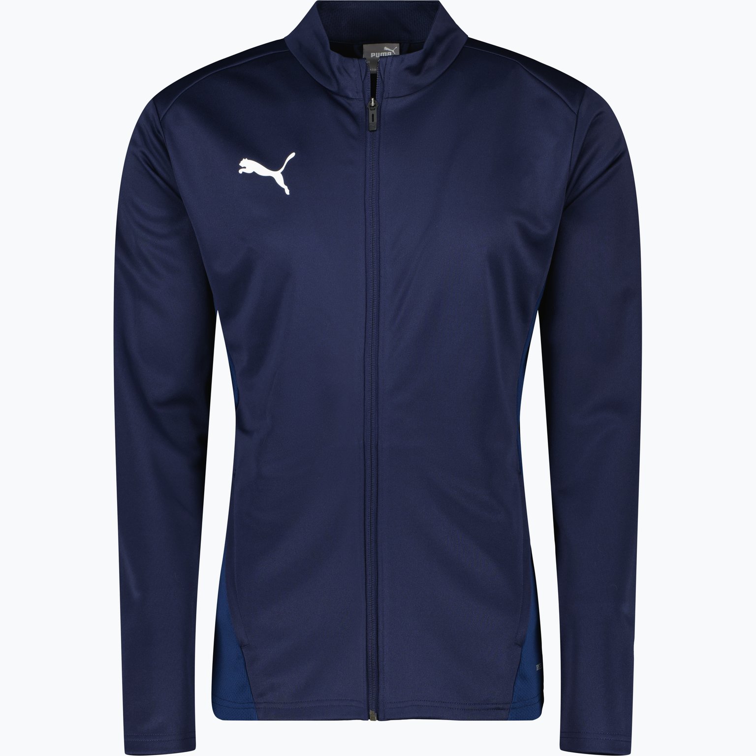 Puma teamGOAL Training Jacket  Svart