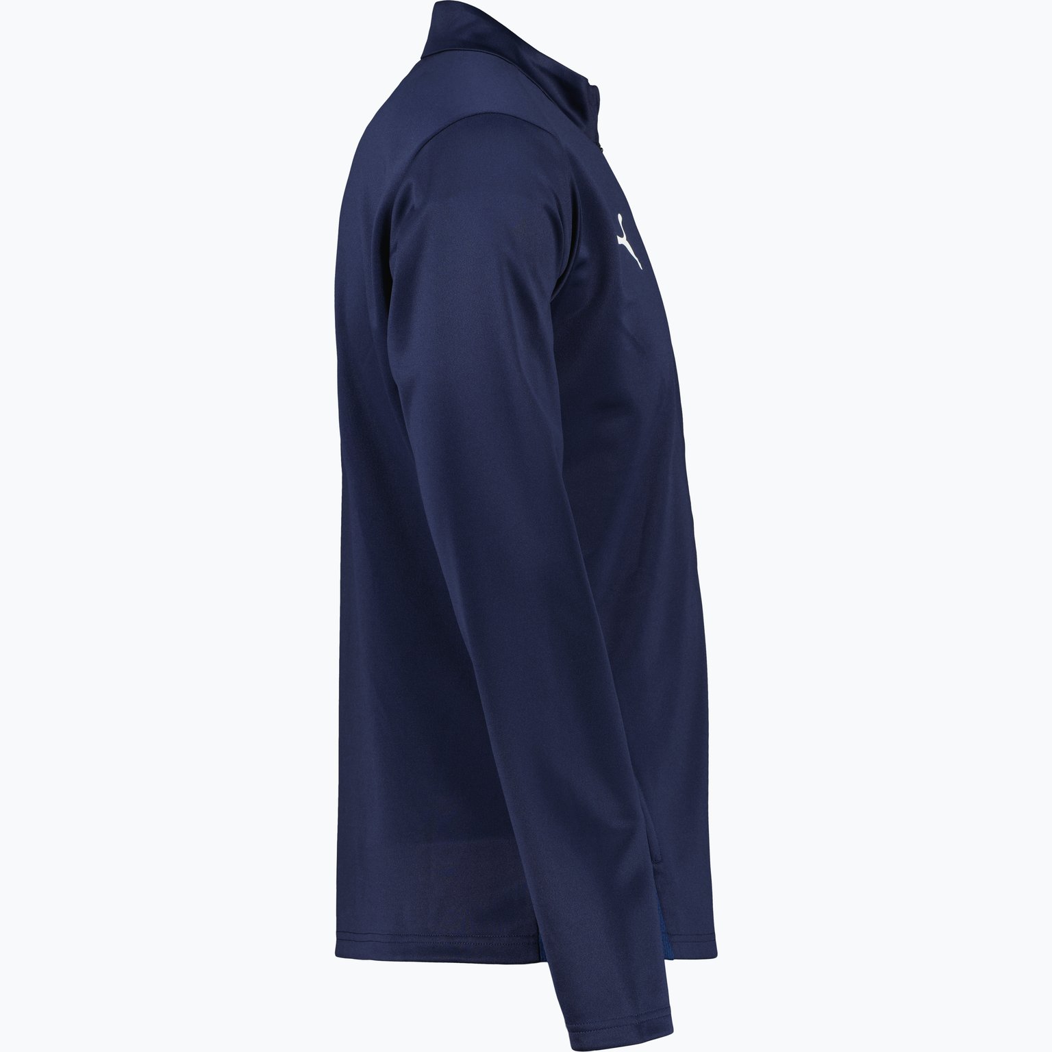 Puma teamGOAL Training Jacket  Blå