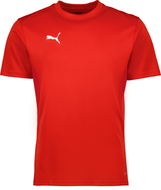 Puma teamGOAL Jersey 