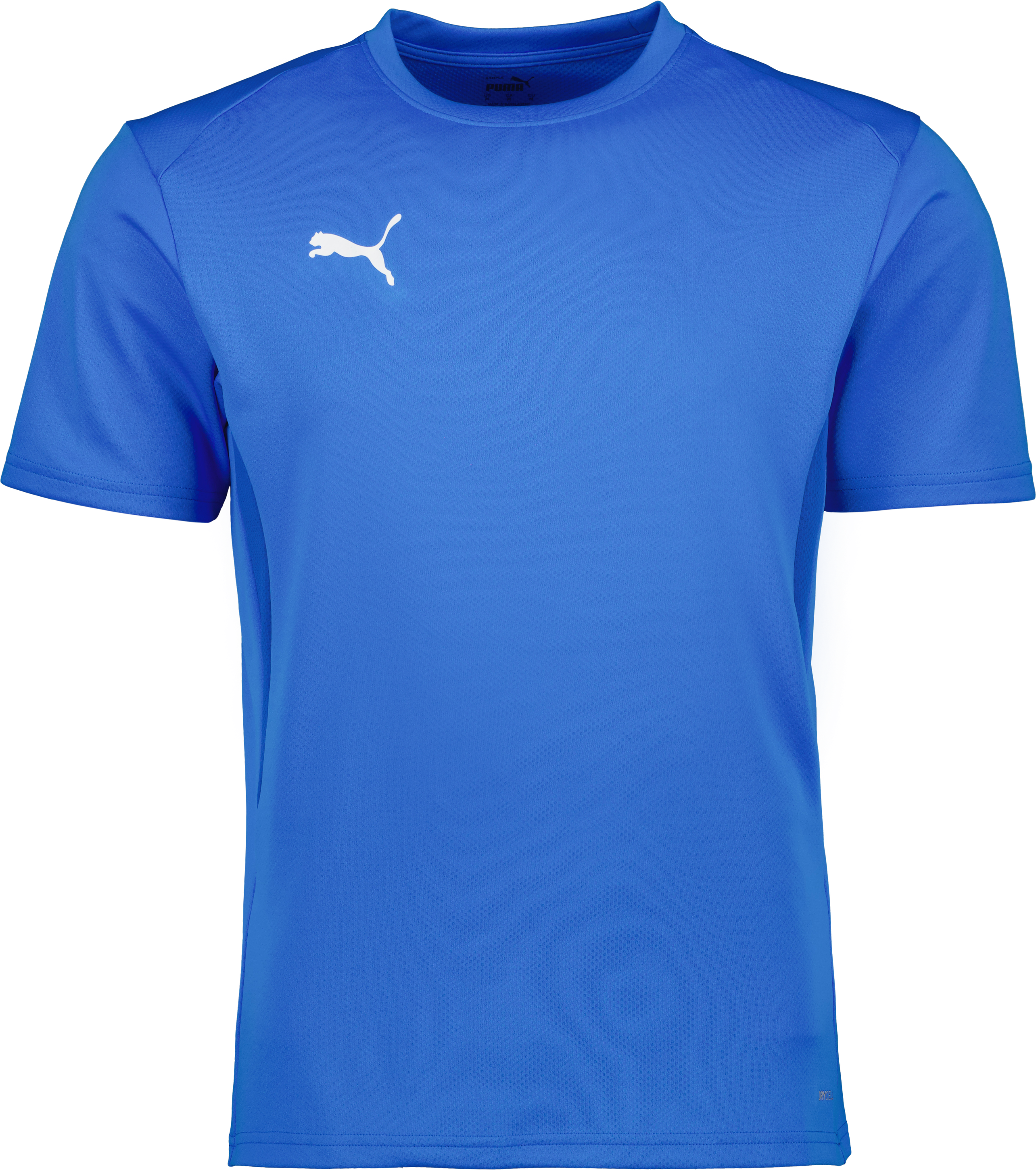 Puma teamGOAL Jersey 