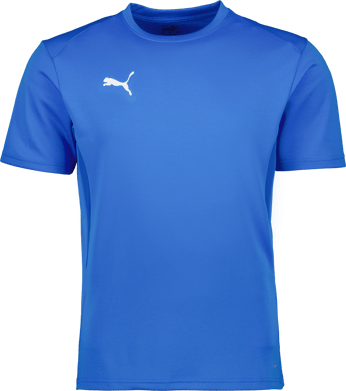 Puma teamGOAL Jersey 