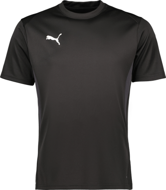 Puma teamGOAL Jersey 