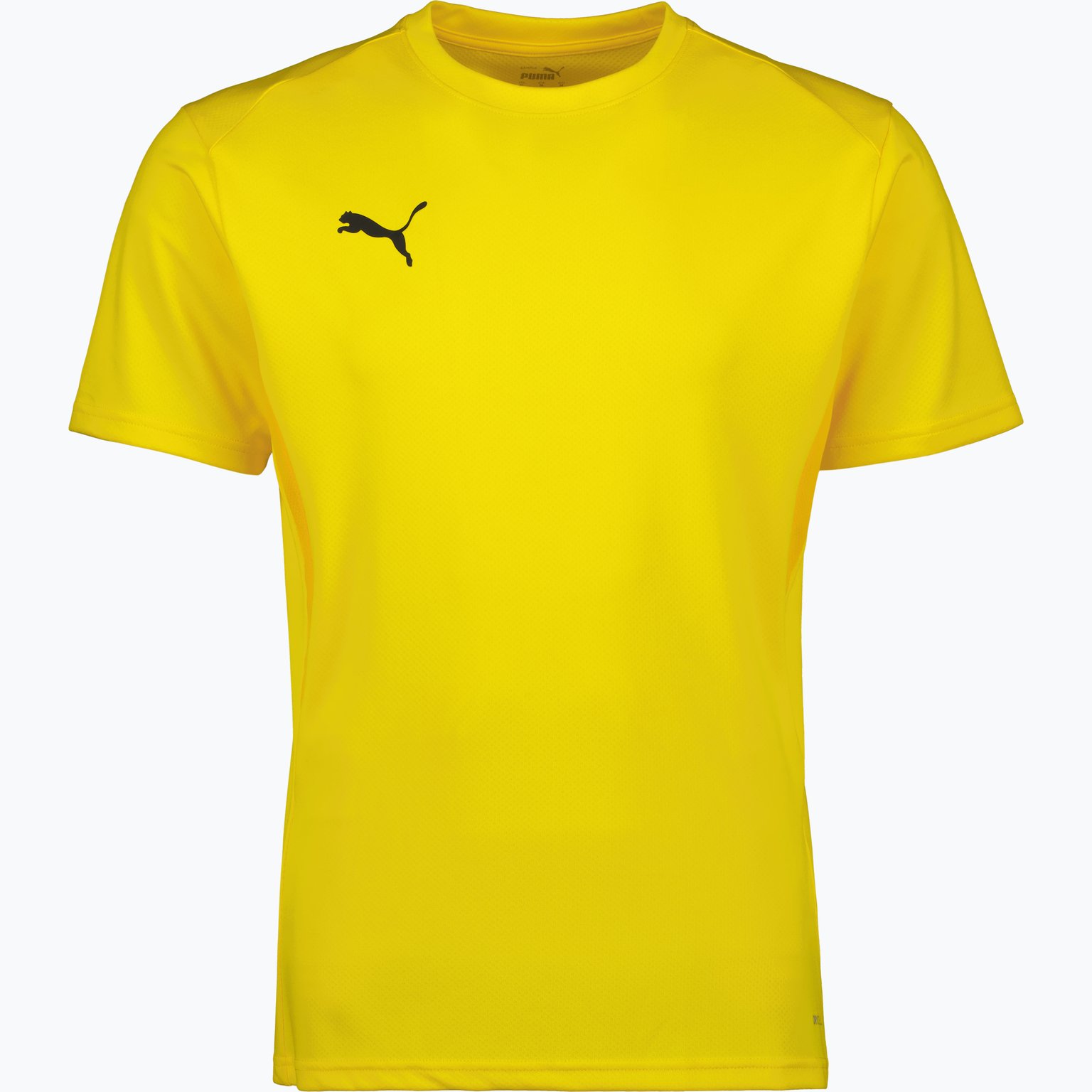 Puma teamGOAL Jersey  Blå