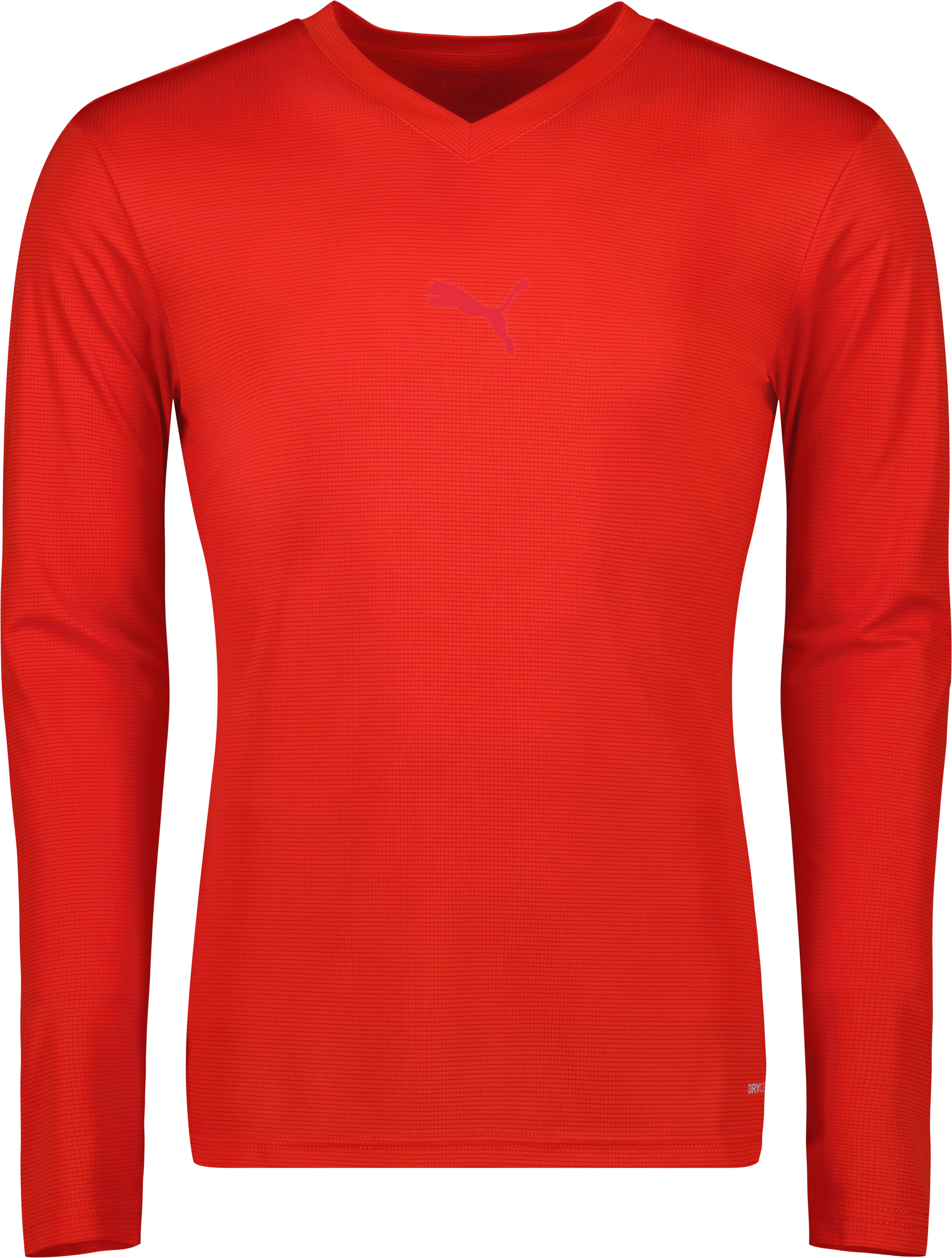 Puma teamGOAL Baselayer Tee LS 