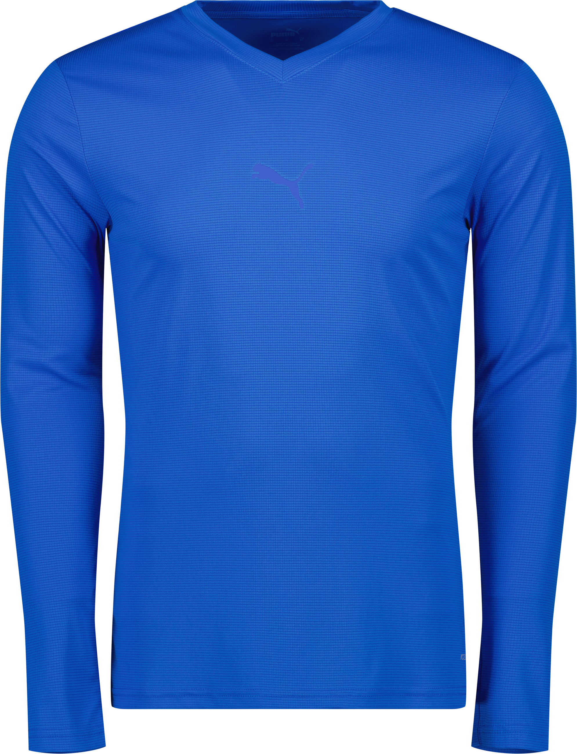 Puma teamGOAL Baselayer Tee LS 