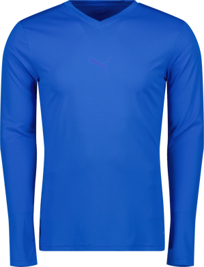 Puma teamGOAL Baselayer Tee LS 