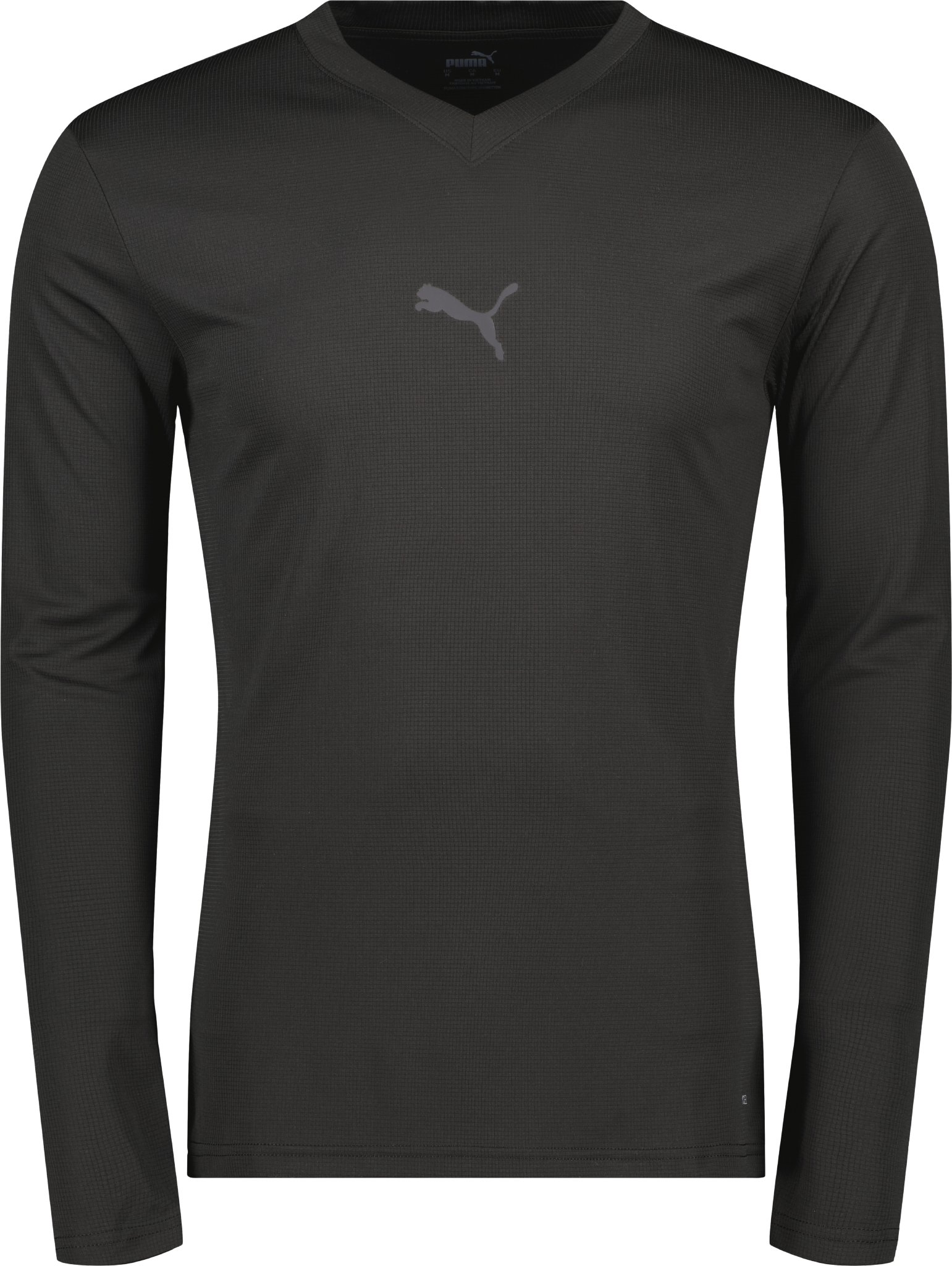 Puma teamGOAL Baselayer Tee LS 