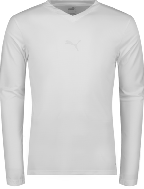 Puma teamGOAL Baselayer Tee LS 