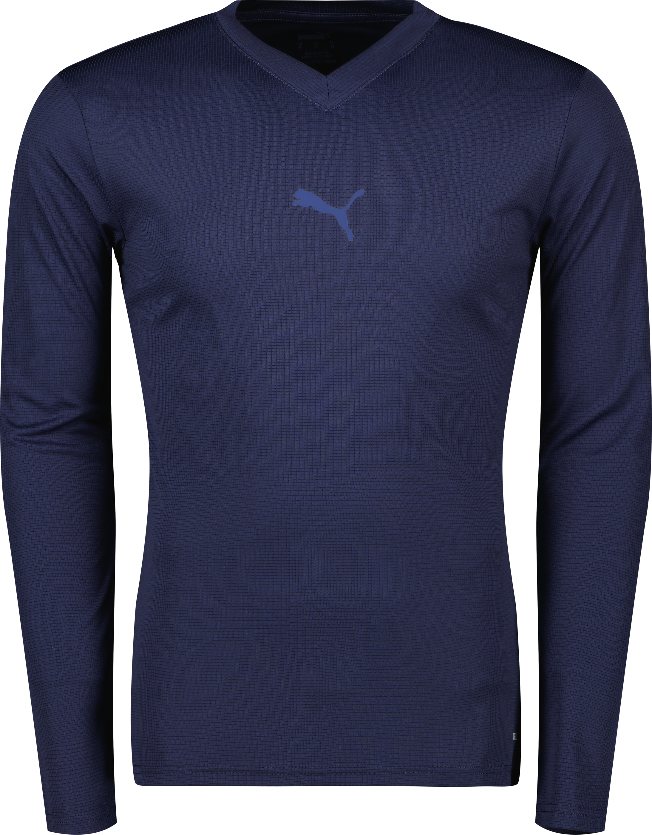 Puma teamGOAL Baselayer Tee LS 