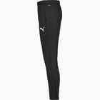 förhandsvisning ikon 3 för Puma teamGOAL PRO Training Pants  Svart