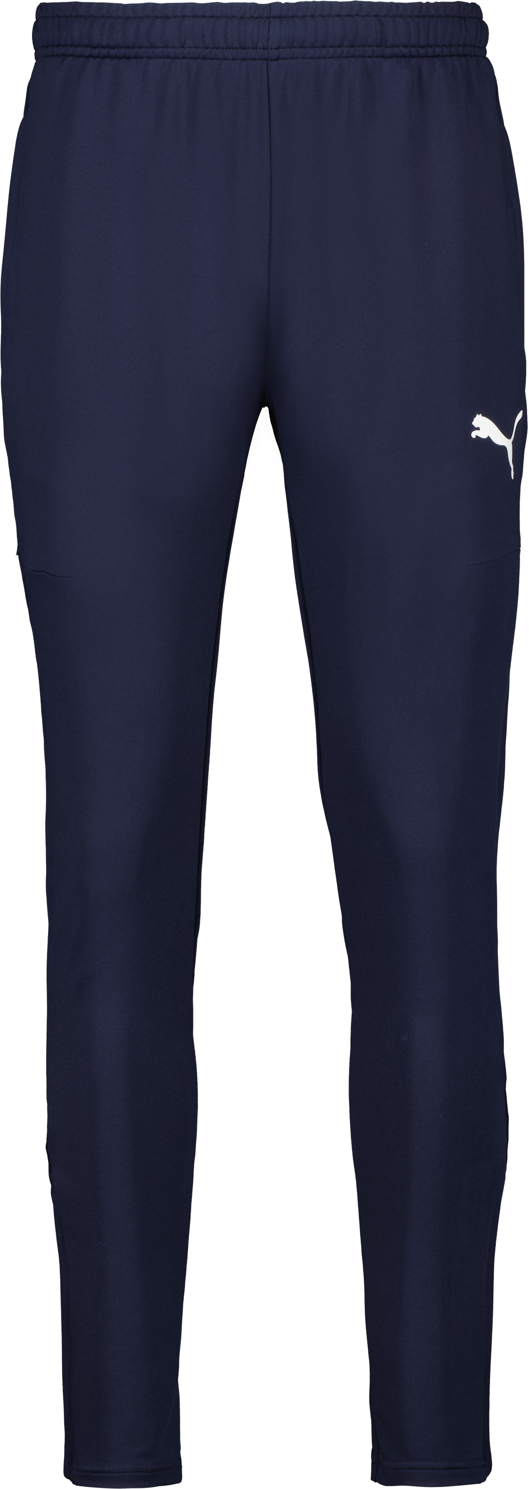 Puma teamGOAL PRO Training Pants 